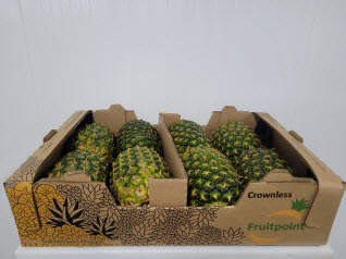 Piña Caja Crownless Costa Rica