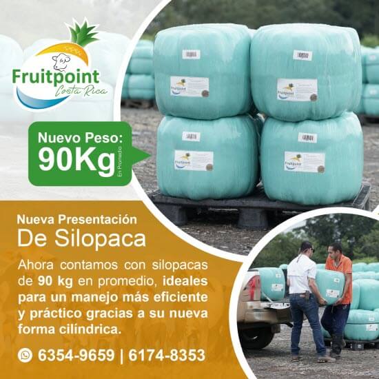 producto ensilado costa rica piña
