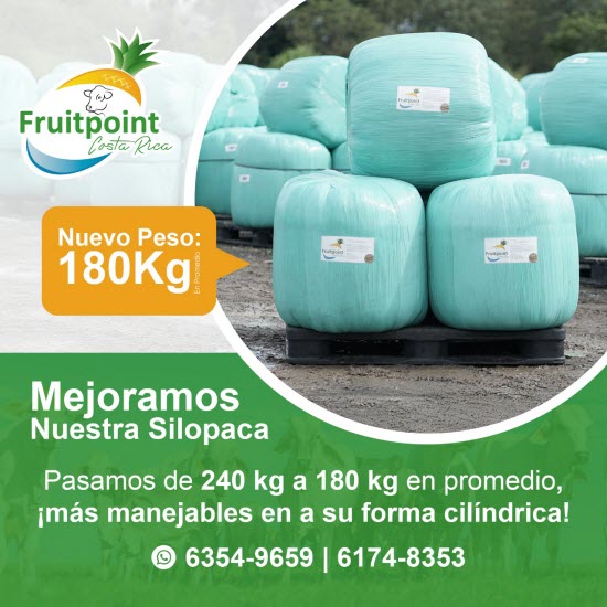 producto ensilado costa rica piña