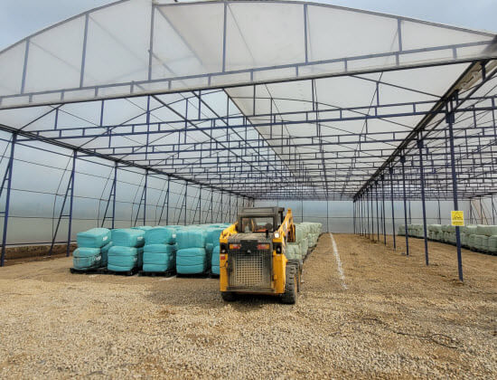 Pineapple Ensilage costa rica