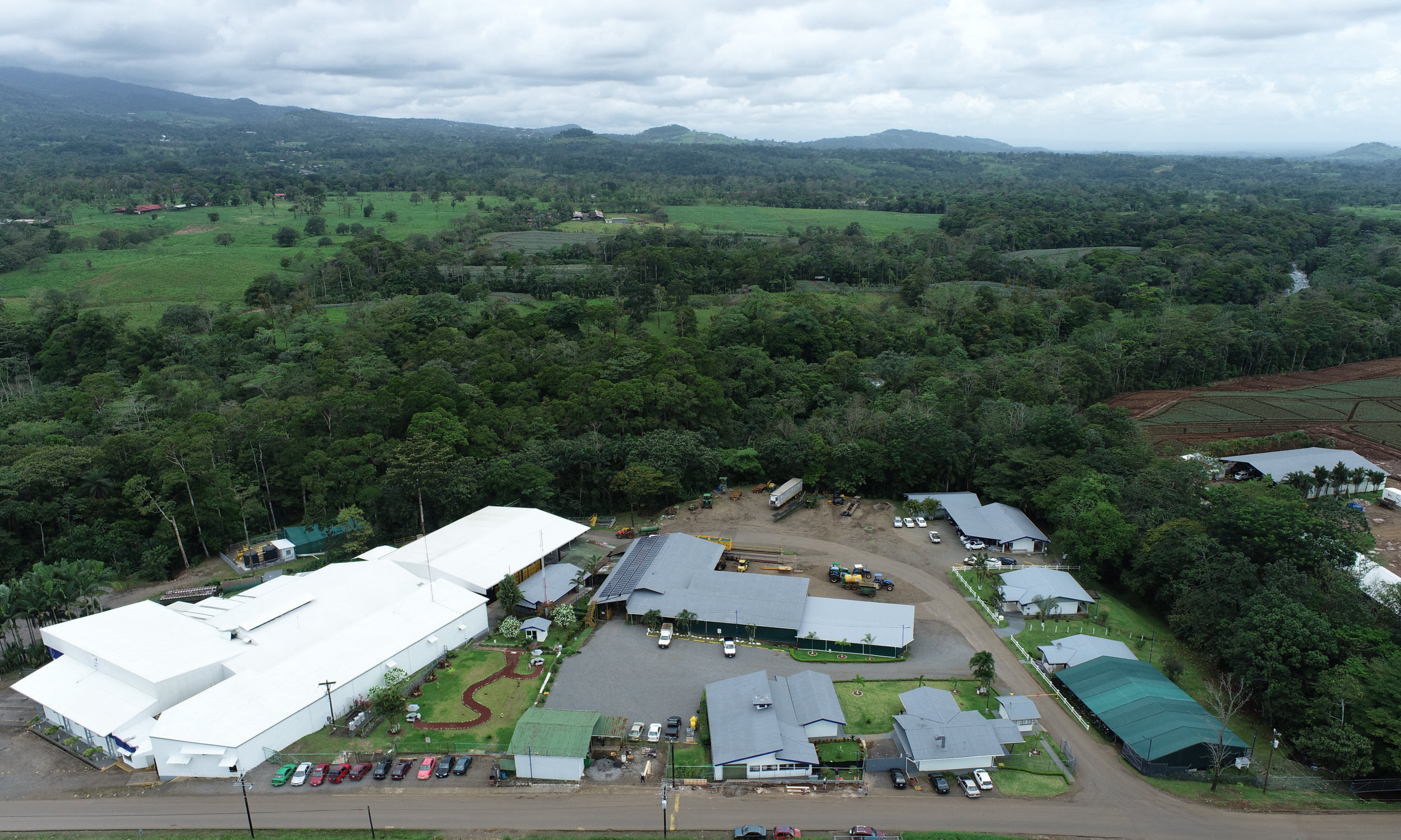 campo piña fruitpoint costa rica