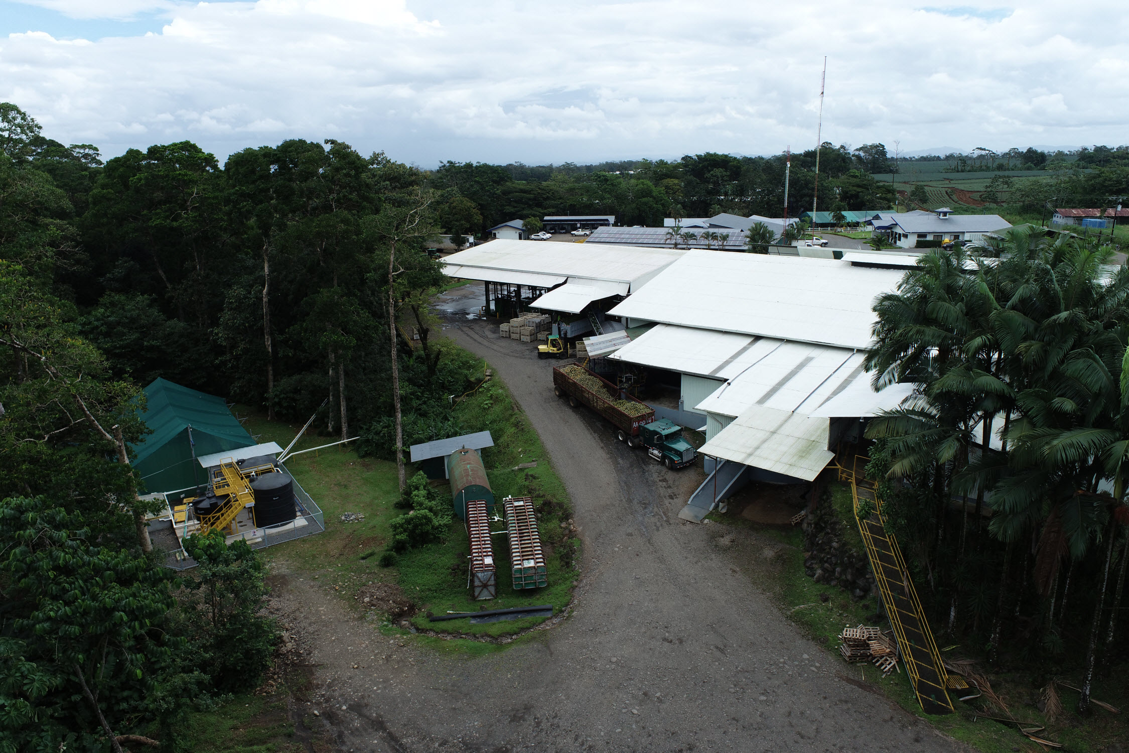 campo piña fruitpoint costa rica