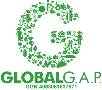 Global