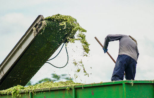 organic waste management costa rica pineapple