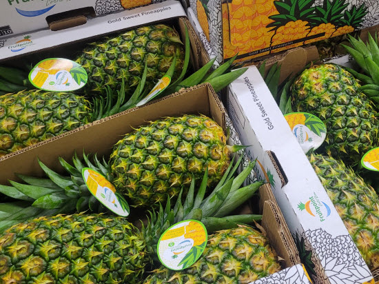 piña exportación costa rica