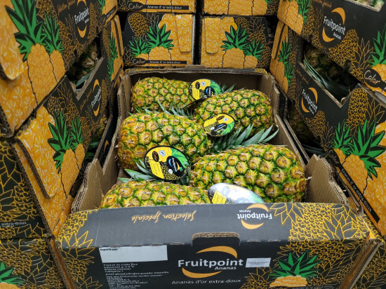 pineapple exportation costa rica