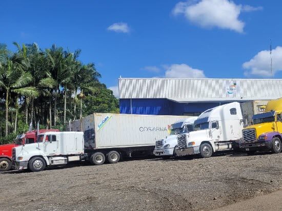 piña exportación costa rica